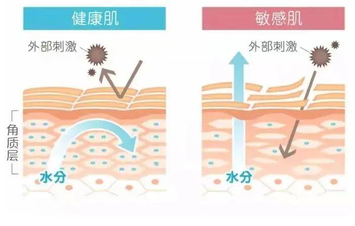 评价|这才是敏感肌修护的正确打开方式！