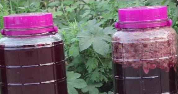 公婆|葡萄园老板教你自制葡萄酒，最后这步很重要，忽略易“爆炸”