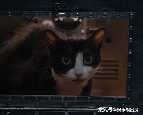 盒子|恋恋剧中人：许魏洲牵手乔欣，小鬼、吴宣仪有隔阂，差距有点大！