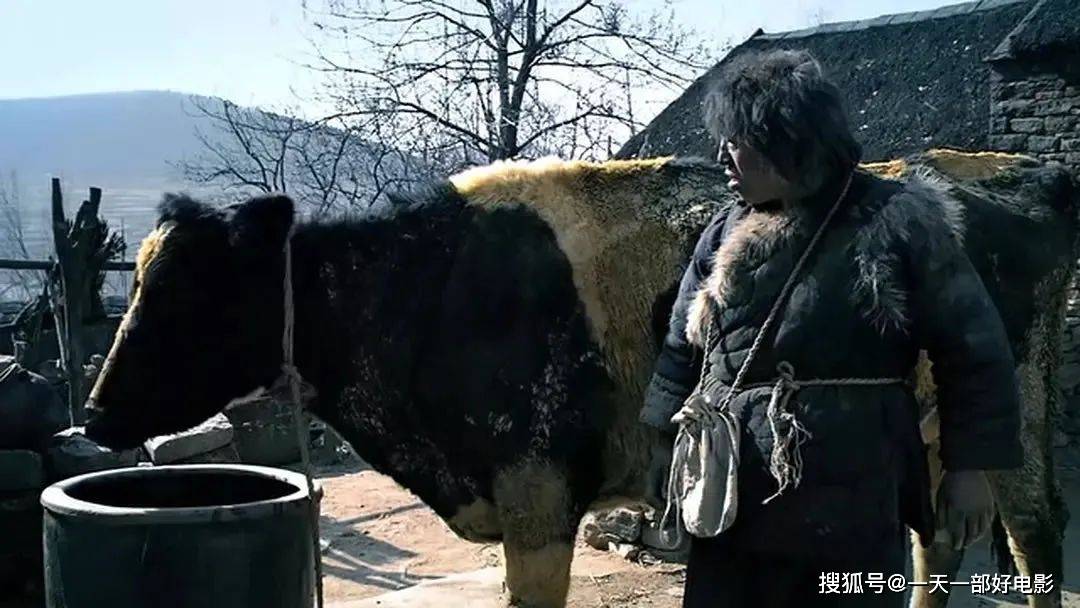 黄渤封|人不像人，狗不像狗，黄渤封帝之作