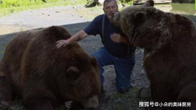 男子一家人养两只棕熊 经常与其做各种互动 看到体型众人愣了 外国