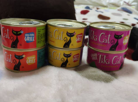 瑞萌|新手养猫的注意事项，猫零食怎么选是一件大事