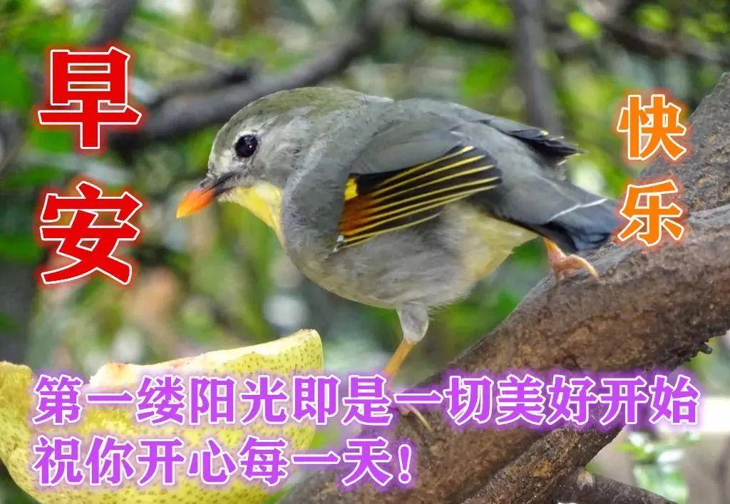 不用带字聊天的朋友圈早安祝福图片带字_问候