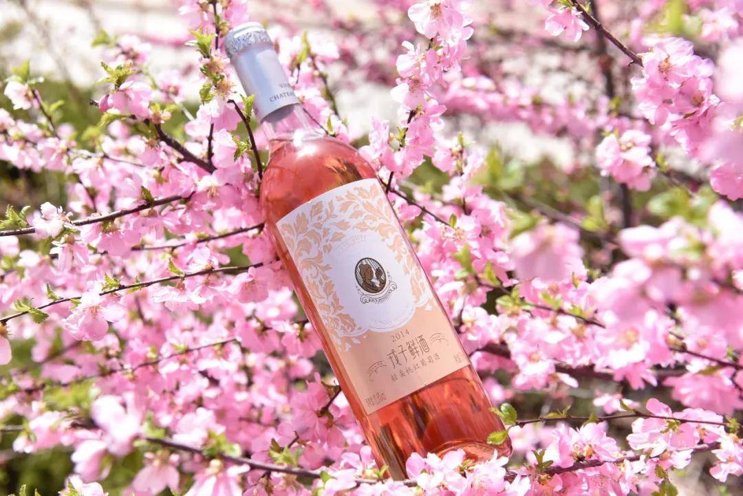 配餐|桃红葡萄酒配餐，就是如此简单！