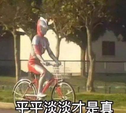 令牌|不得不说，就连杨紫也挽回不了这档综艺节目了