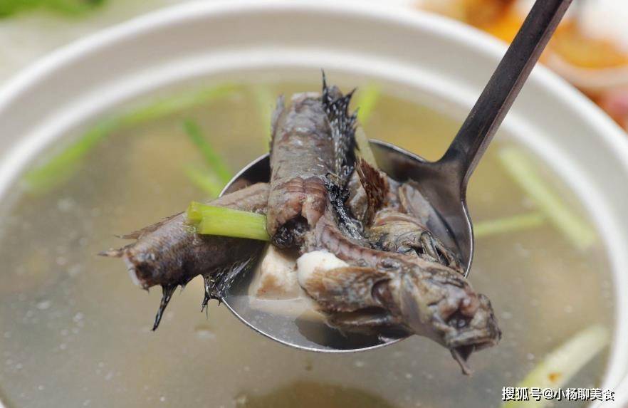 原创这鱼生活在泥土中长着两条腿要能跳跃前行一斤卖上百元