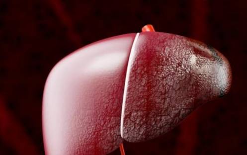 睡眠|最伤肝的食物已公布，不是饮酒，转告家人：这种“水果”要少吃