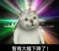 令牌|不得不说，就连杨紫也挽回不了这档综艺节目了