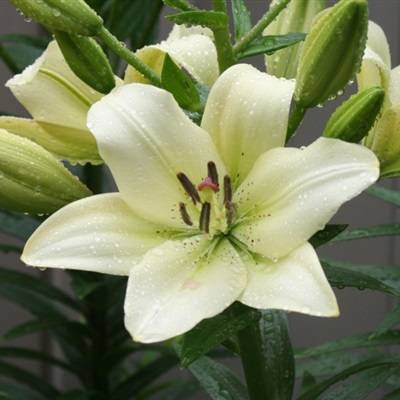 9月20日到10月中旬,三生肖运势逆转,扫清霉运,好运连连