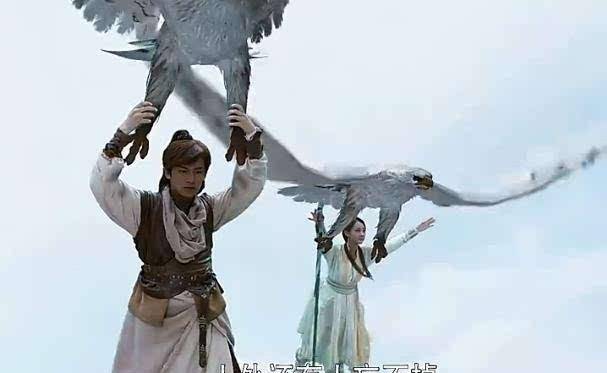 郭靖和|神雕侠侣扯闲篇儿：为啥杨过好巧不巧遇见了蛇雕大战帮雕不救蛇？