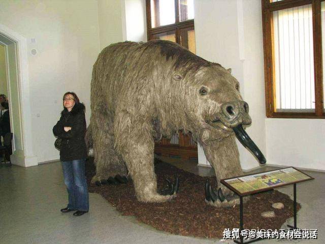地球史上最大的地懒：行动缓慢只吃素，却可轻松吓跑剑齿虎_大地