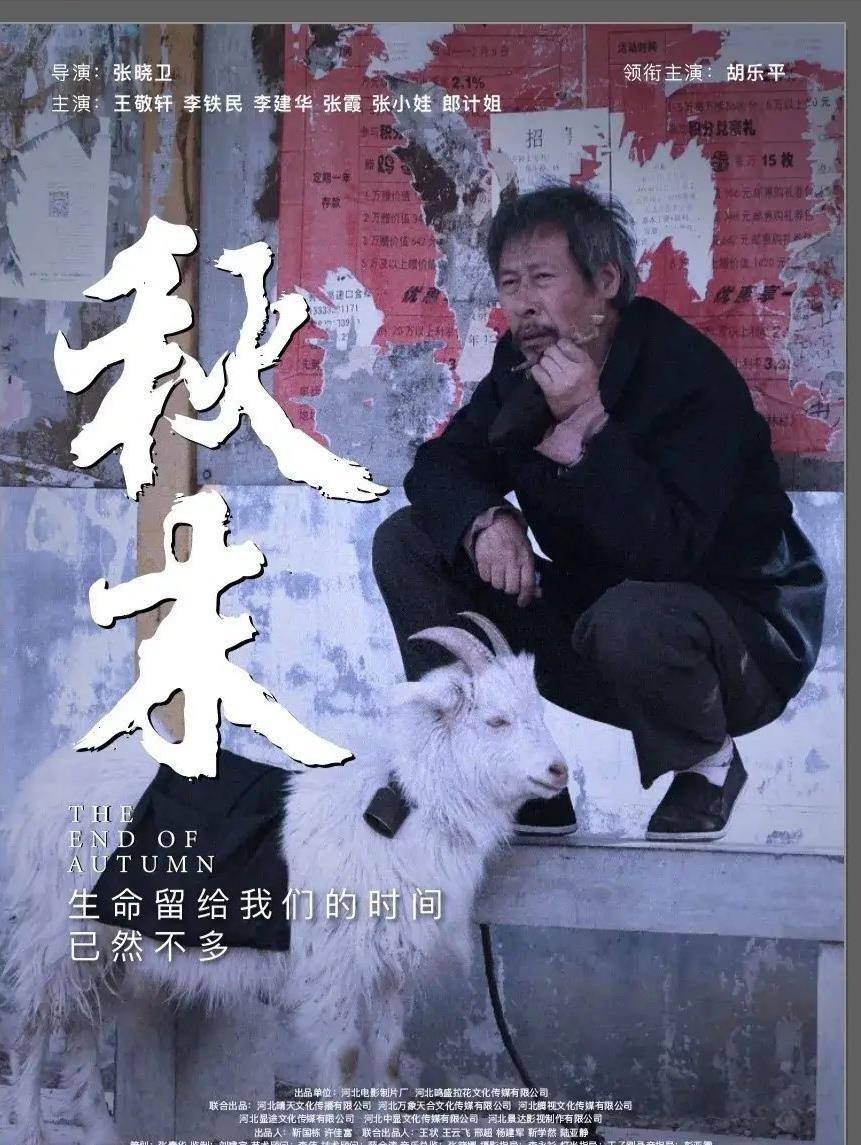 张艺骞|观影指南！本周院线即将上映的7部新片，关注度都不高！