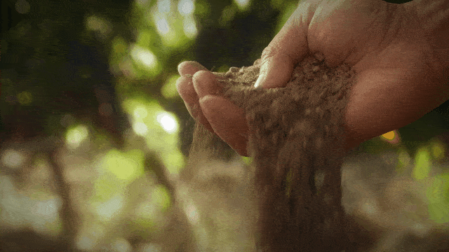 国际|“中国葡萄酒的现在和未来在宁夏”