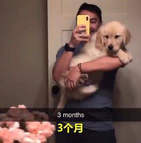 主人記錄下狗狗慢慢長大的過程，最後真的抱不動了，請忍住不笑 萌趣萌寵 第1张