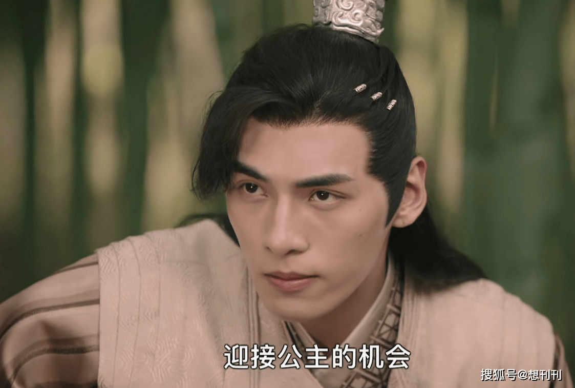 什么|五毒俱全！网剧主角配角一个比一个辣眼睛，整容崎岖超龄演技差…