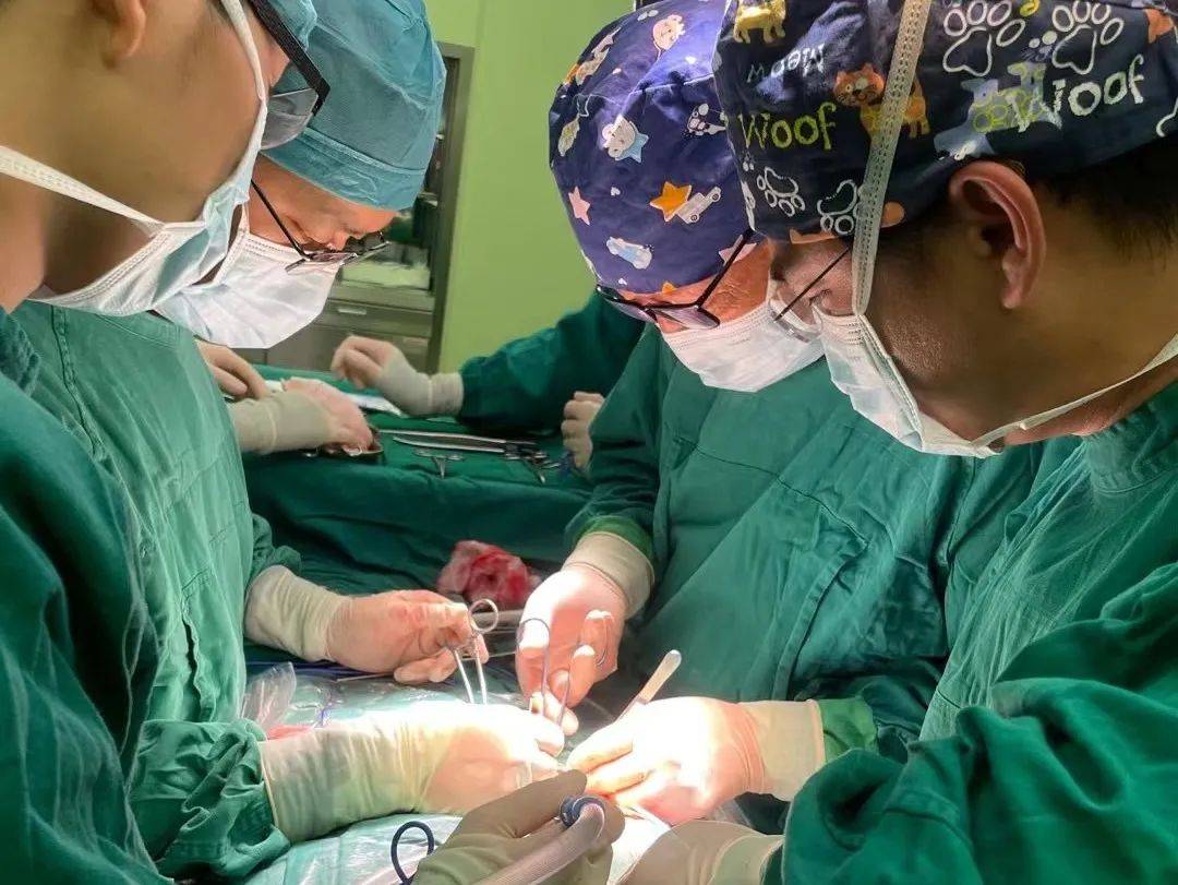 时间较长|【科普答疑】肾脏移植二三问