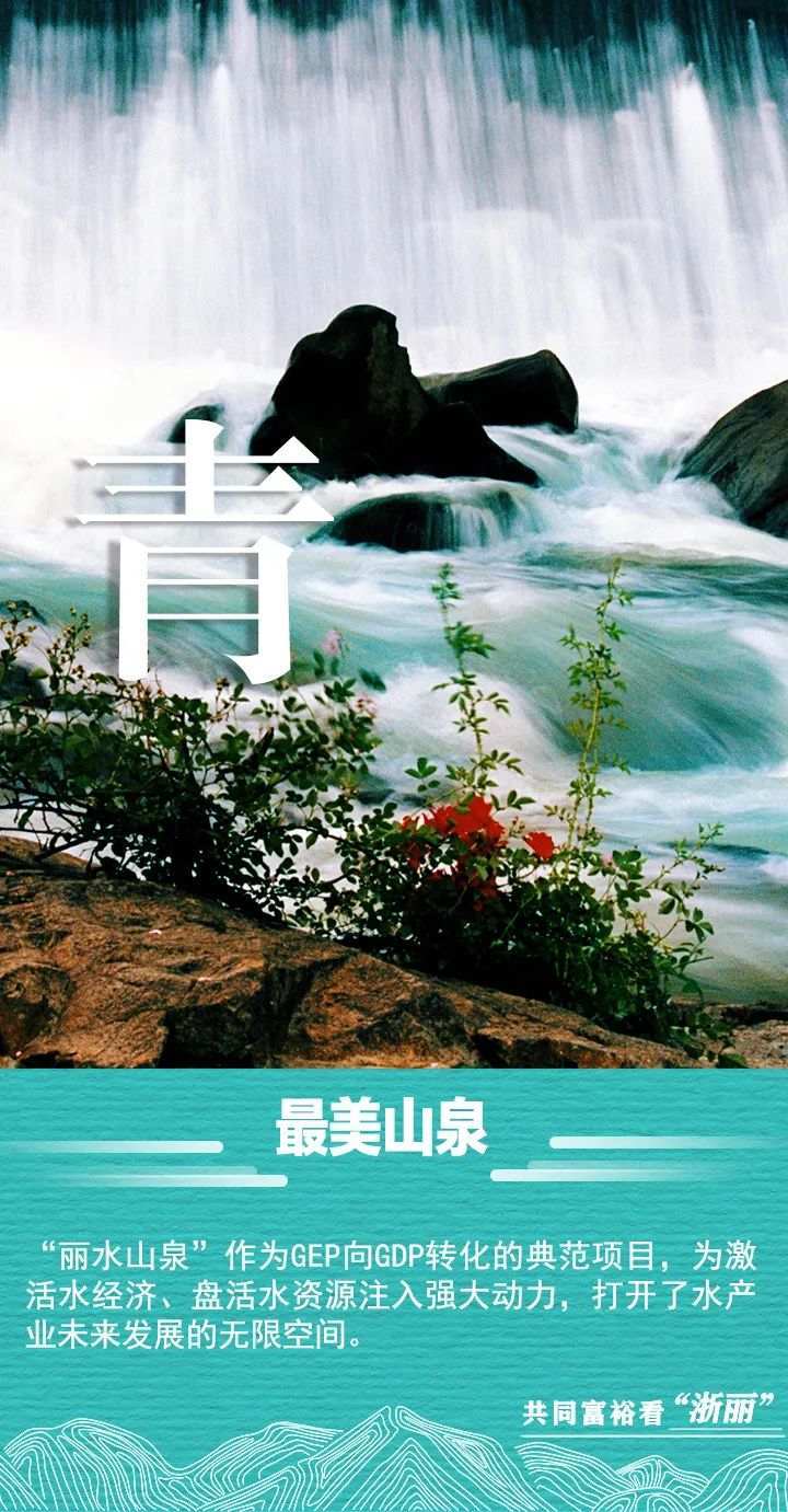 品牌共同富裕看“浙丽” | 一组海报，带你看丽水“山”字品牌