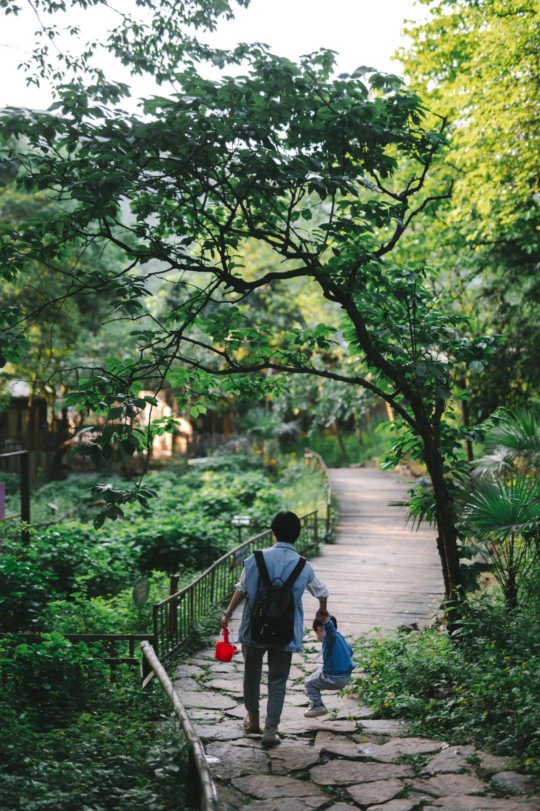 三河村|丰收节看乡村振兴，带你打卡沙坪坝三河村艺术家村落