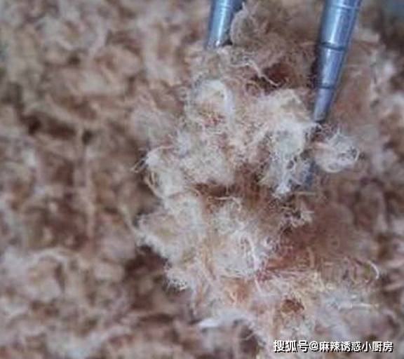 面团|家庭自制肉松面包,柔软酥香,咸鲜入味,早餐再也不用出去买了!