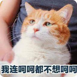 211117123a9f44019d3a1347e13bc6fe.jpeg
