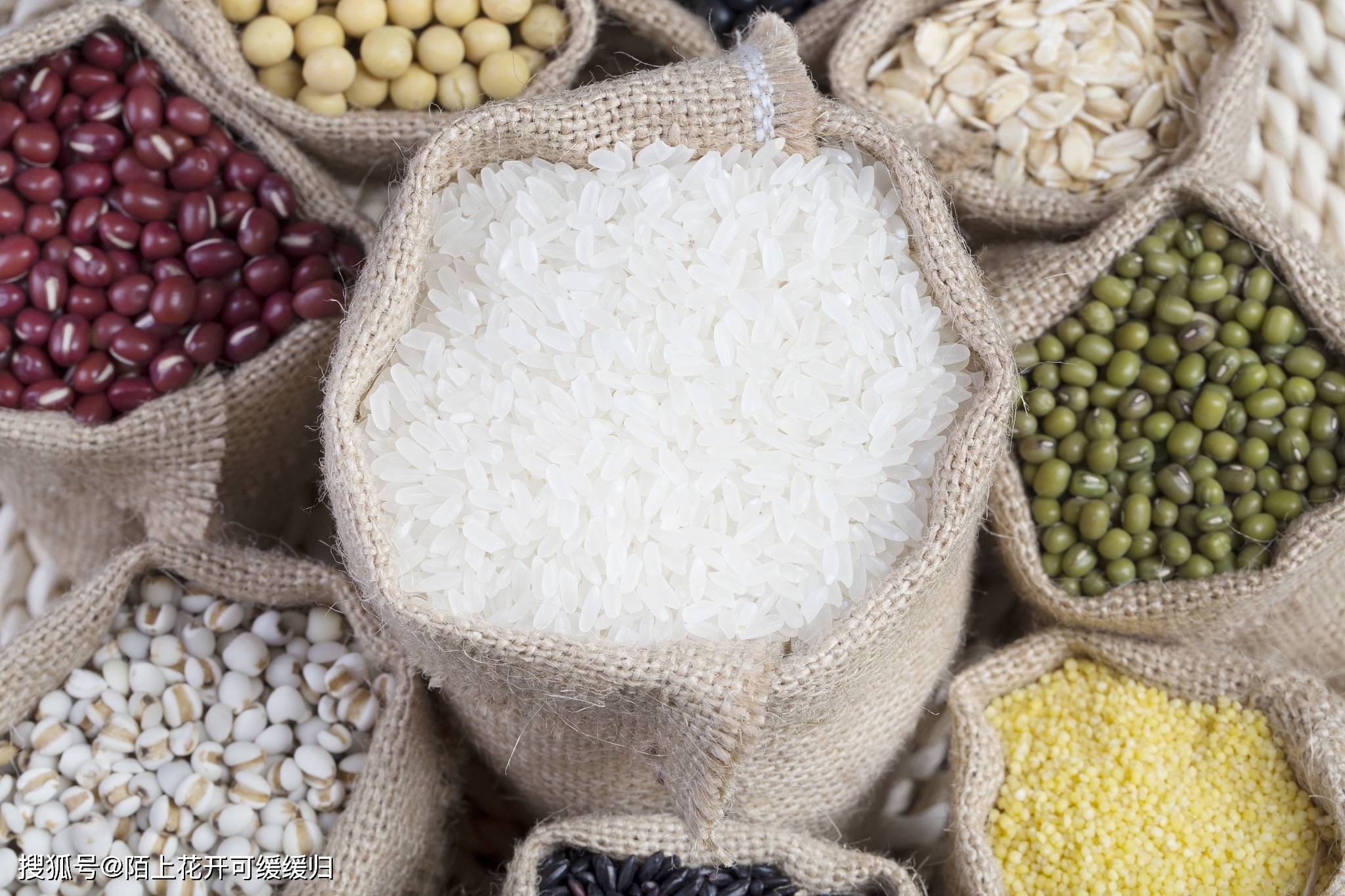 原创常见粮食水分检测设备有哪些粮食水分出粮率谷物容重器水分活度仪