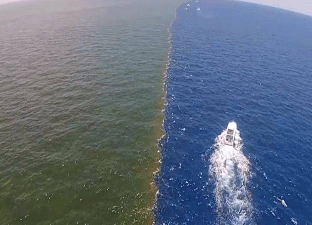 渤海和黄海交汇处"泾渭分明",同是海水,它们为什么不相融?