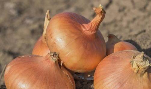 伤口|发现自己有糖尿病倾向怎么办？医生：多吃3种食物可自救！