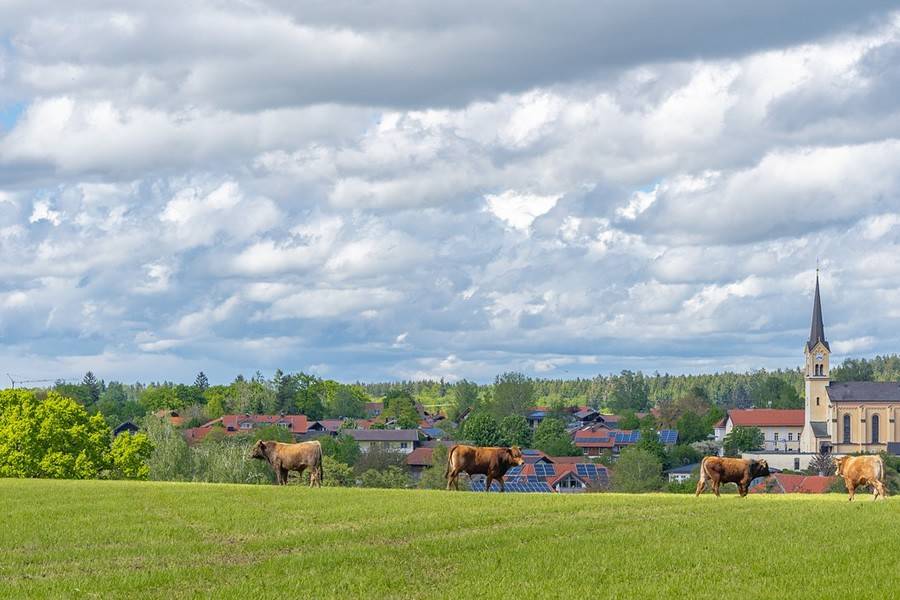 9月26日十二星座運勢紅榜1 3名 占星網