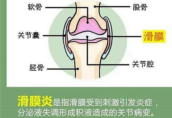 腰痛膝盖后面放血是什么原理_右边腰痛是什么原因男(2)