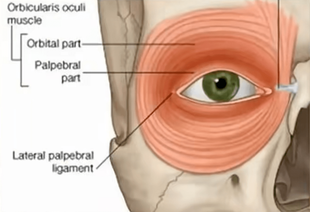 副作用皮肤美容项目这样搭配，抗老效果加乘
