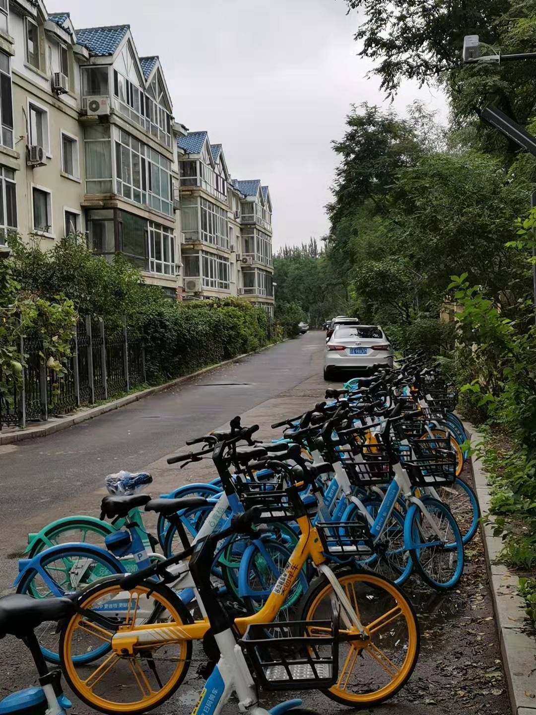上海小区自行车停那边

方便（上海自行车停在地铁口安全吗）《上海小区自行车停车收费》