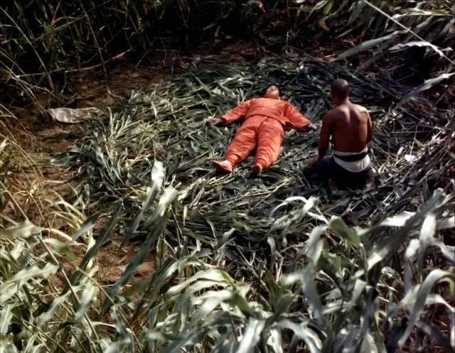 海市蜃楼|80年代十大“现象”佳片,《少林寺》1.6亿,《红高粱》获奖无数2