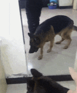 搞笑GIF：真有點不敢相信 現在的衣服都這樣穿嗎？ 搞笑整蠱 第18张