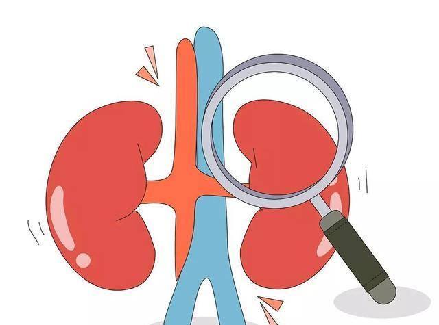 睡眠|“尿毒症”是“吃”出来的？提醒：生活中这4种食物尽量少吃