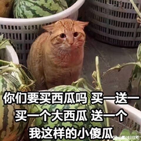 恶人刚帮过藏剑,叶镜池就加入浩气?