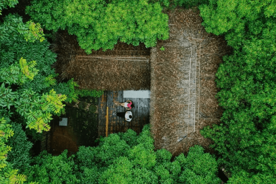 烧烤|十一首次开营！棕榈湾美音营地，开启露营新体验！