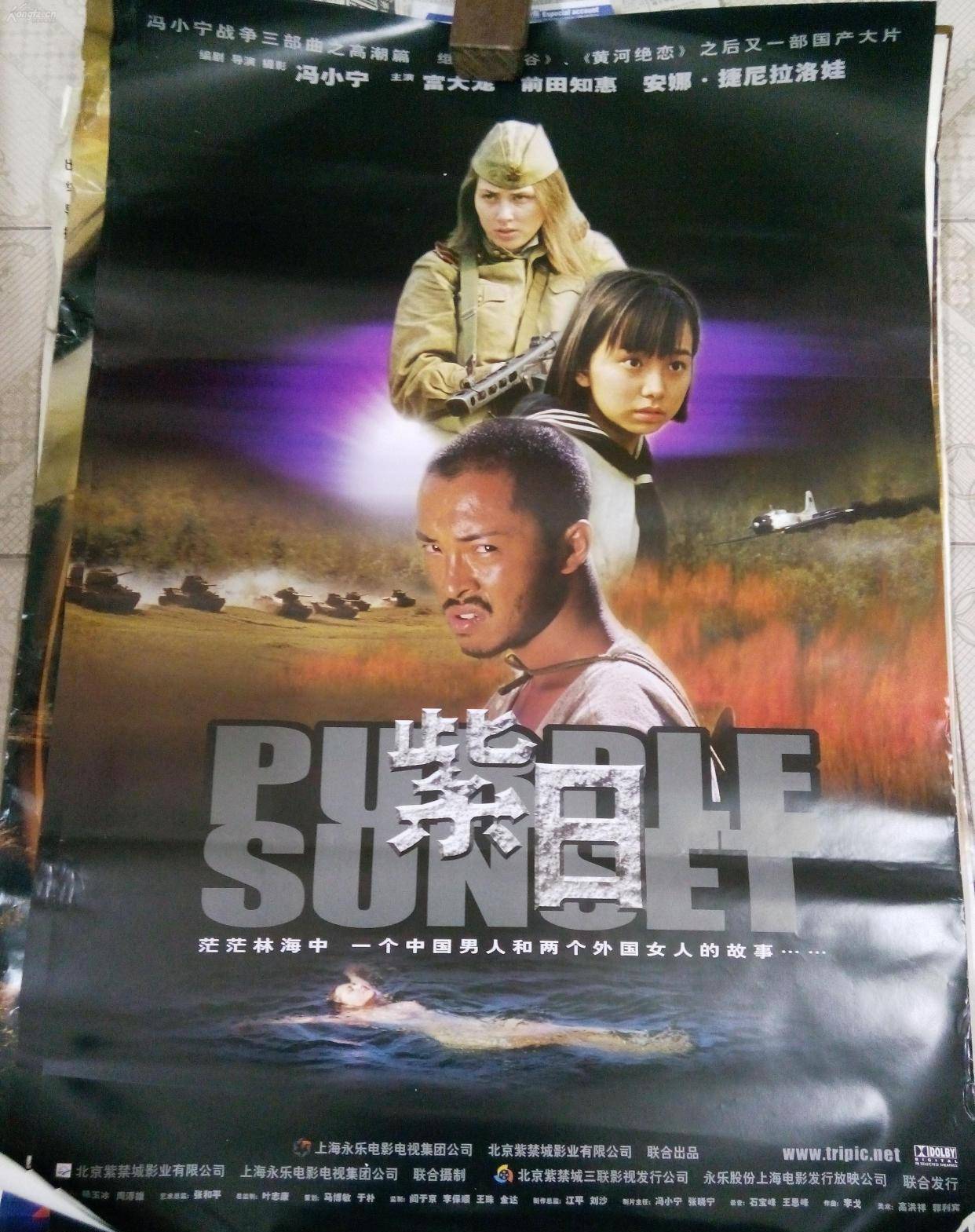 叶子|电影《紫日》20年，富大龙成影帝，“娜佳”和“秋叶子”怎样了？