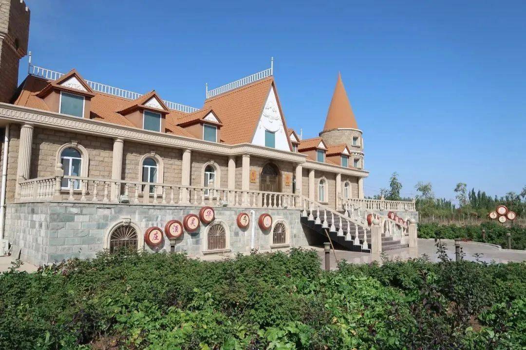 图片|最新 | 2021年度宁夏列级酒庄揭晓!