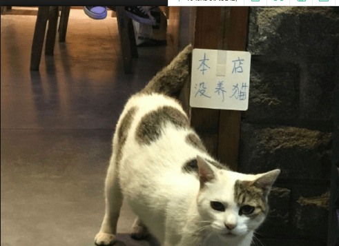 搞笑聊天記錄：孫女，你未來公公有什麼喜好，孫女的回復笑噴了！ 搞笑整蠱 第9张