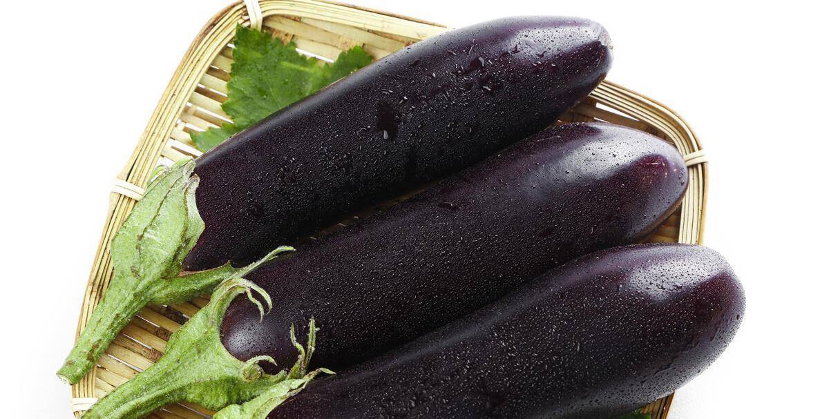 怎样晒干茄子不黑 5154af114e734d6690bdef8626fce3c8.jpeg