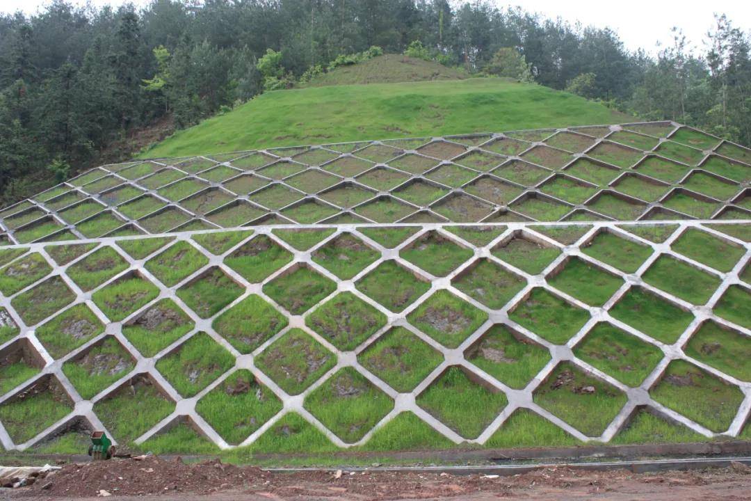 公路边坡变形的原因分析_路基