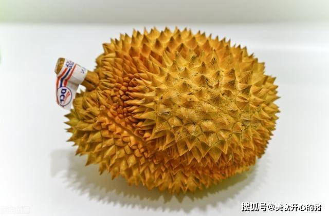 f389d59a633d4bc6a3ae6e040ea502ac.jpeg