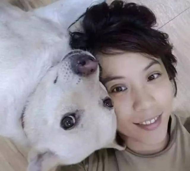 狗狗社交能力滿點，串門總是帶上熱狗回家，怪不得身材橫著長 萌趣萌寵 第5张