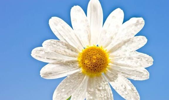 控制|糖尿病必防一个合并症,得上了影响血糖还易得并发症