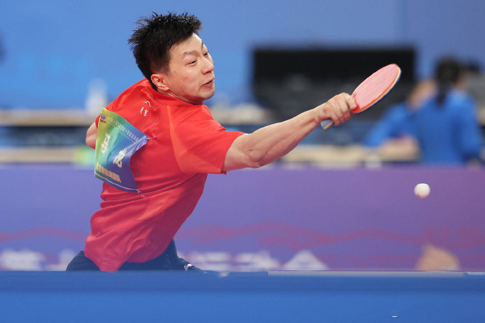 地表最强乒乓球联赛明日开打!鲁能男女队豪阵冲冠,刘诗雯留遗憾_乒超