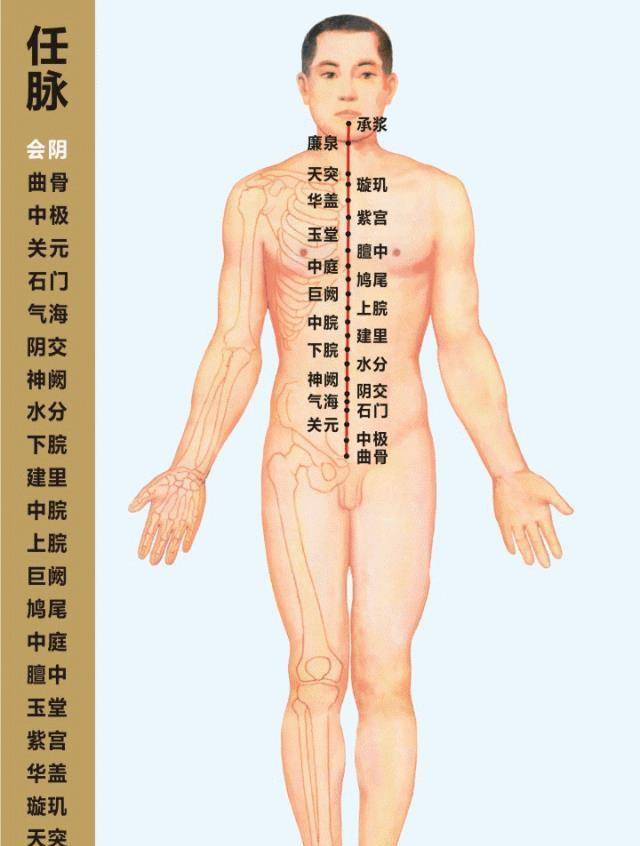 經絡通百病消!奇難雜症調三焦,結節腫瘤通膽經,體弱多汗灸任脈_經脈