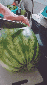 搞笑gif：幸好老娘早有防備！要不然豈不是被你們整死 搞笑整蠱 第2张