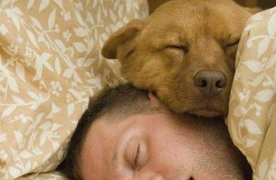 肝脏|肝好的人，睡觉时会有3大共性，看看你占了几个？