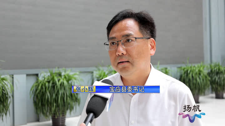 宝应持续实施营商环境优化提升行动不折不扣推进民生实事工程