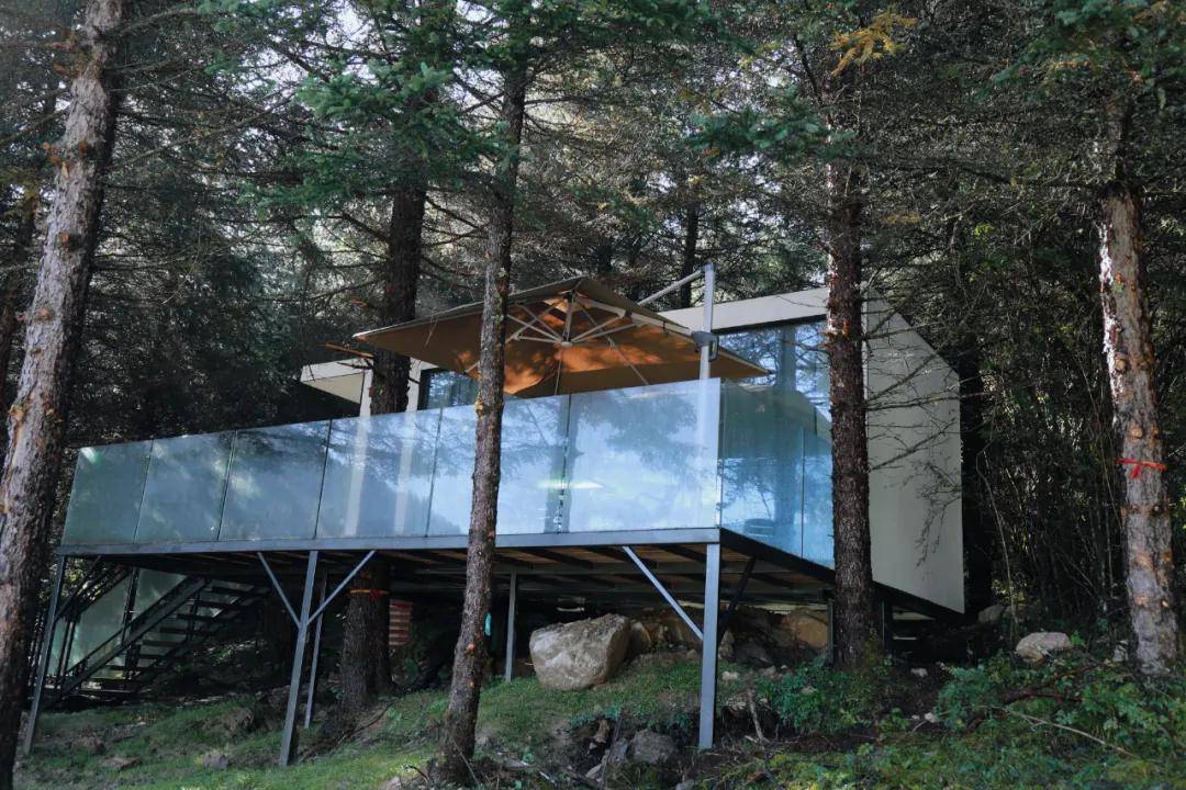 九寨沟:森林地球仓开业啦!沐浴秋风,赏尽秋色